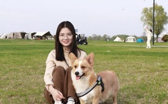 小草青青观看免费